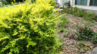 DSC01141